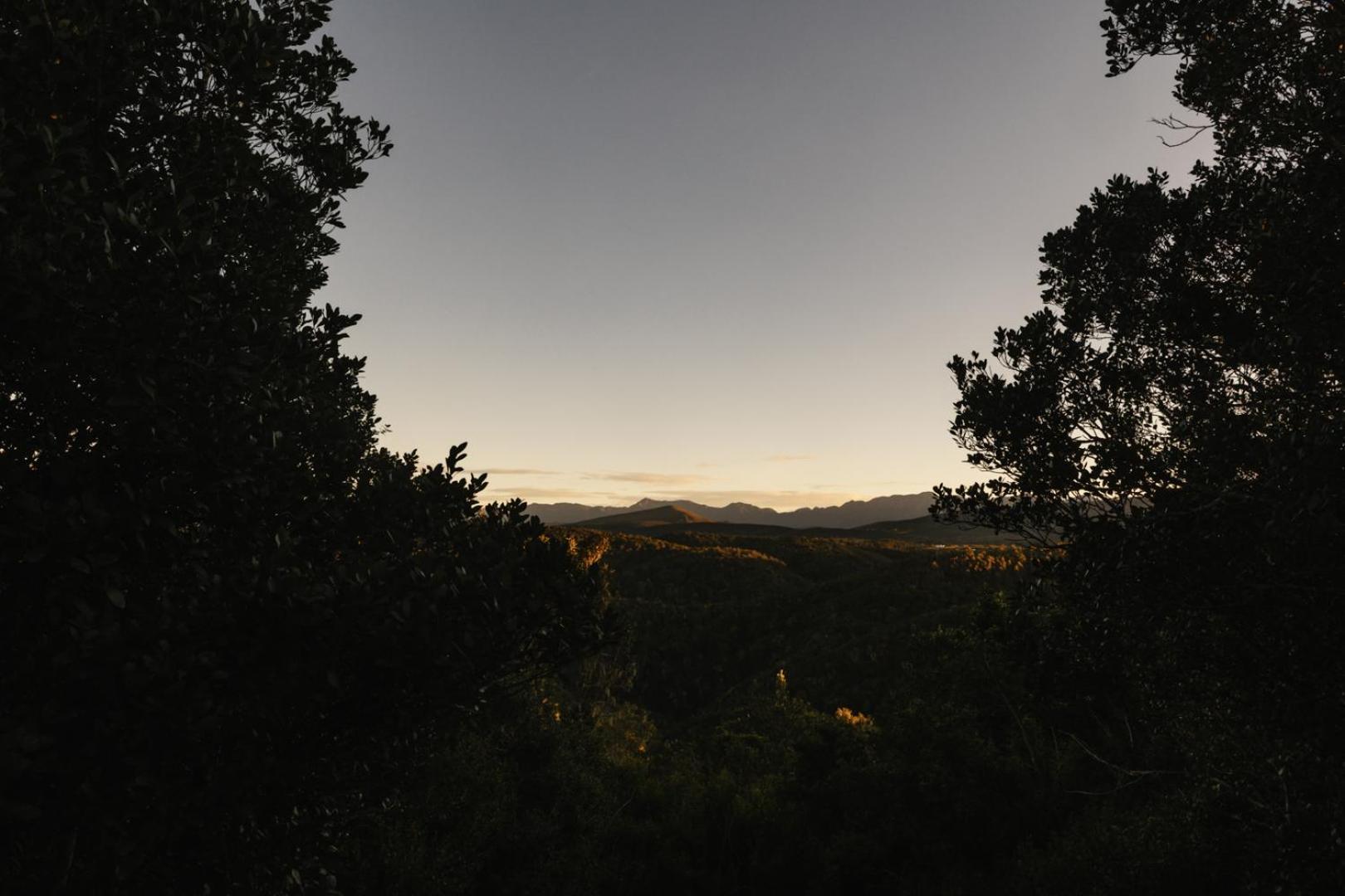 Moonshine On Whiskey Creek The Crags Exterior foto