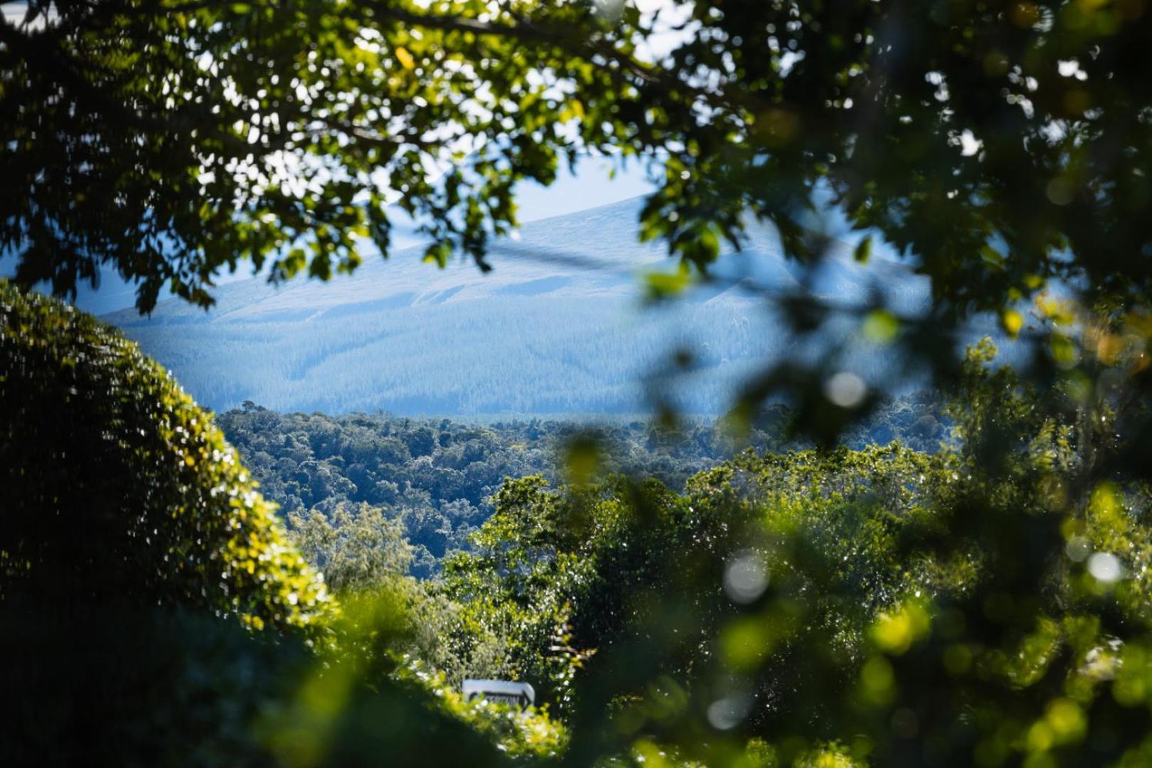 Moonshine On Whiskey Creek The Crags Exterior foto