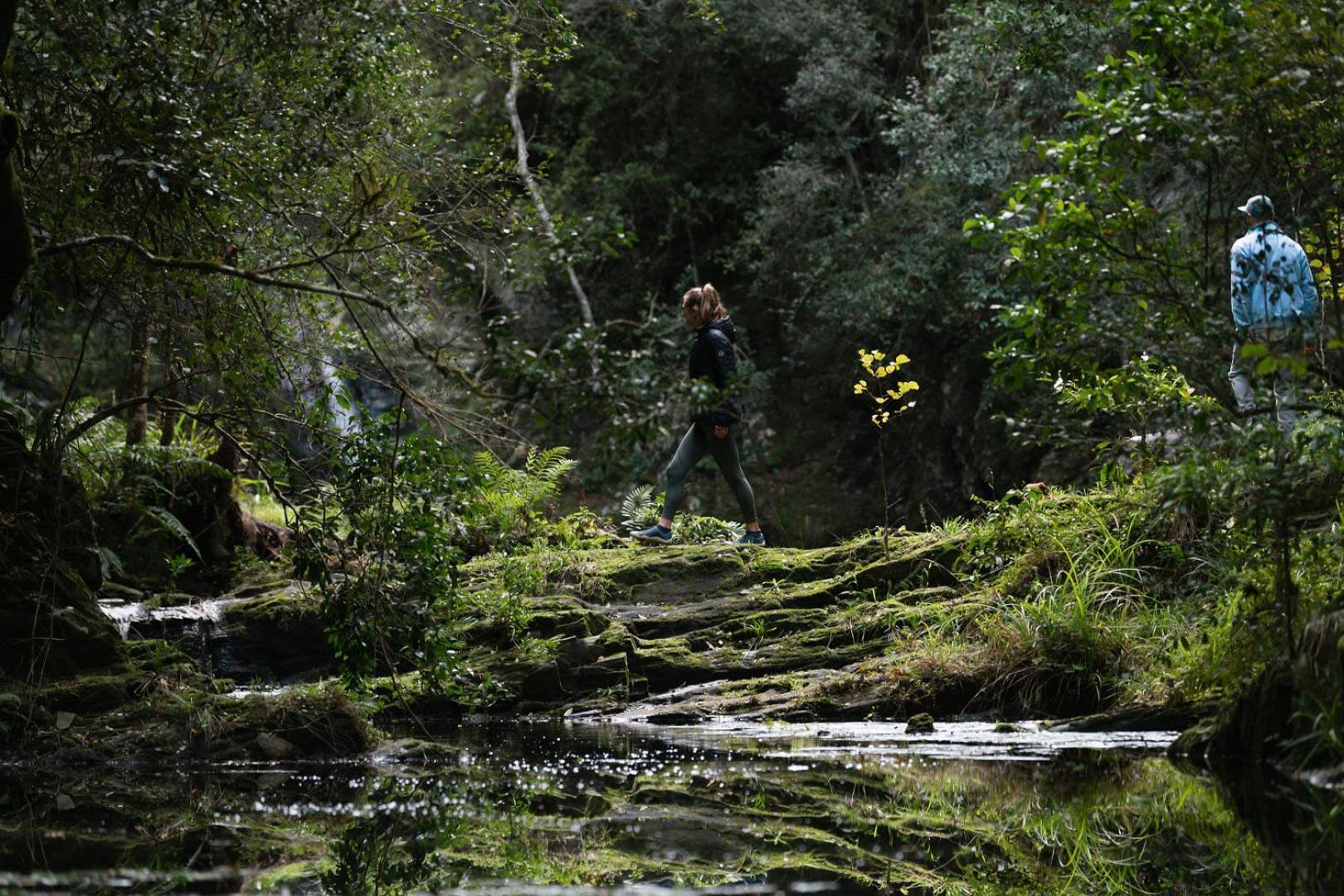 Moonshine On Whiskey Creek The Crags Exterior foto
